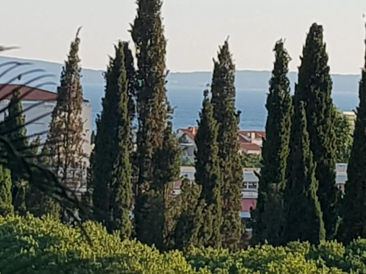 Apartment Davor Spalato 0*,